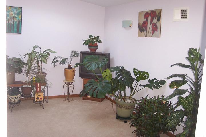 second floor.jpg
